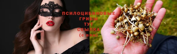 дмт Алзамай