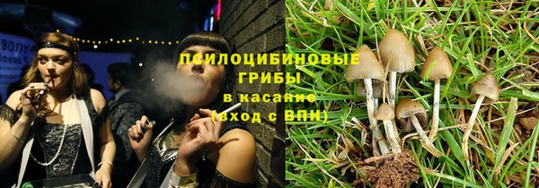 дмт Алзамай