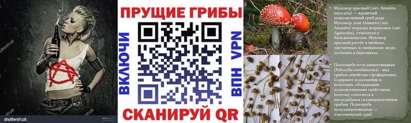 Купить где  Камбарка  Галлюциногенные грибы прущие грибы 