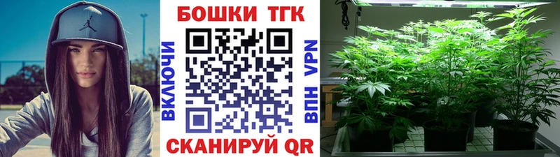 Купить где  Камбарка  Канабис LSD WEED 